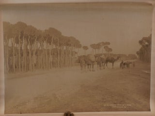 [Album with 39 Original Albumen Studio Photos, Including 26 Images of Baalbek and Beirut in Lebanon; the Rest of the Photos Shows Damascus, Jerusalem, and Istanbul].