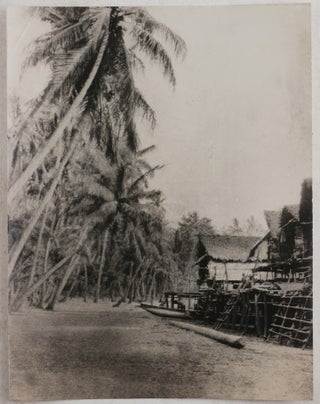 [Collection of Nineteen Loose Gelatin Silver Photos, Taken During Professor William Patten’s Zoological Expedition to New Britain (Papua New Guinea) in 1912].