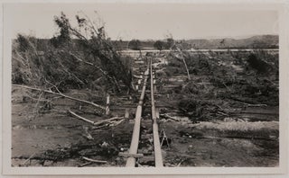 [Collection of 75 Loose Original Gelatin Silver Photographs, Showing the Destruction in Santa Barbara and Environs after the Earthquake on June 29, 1925].