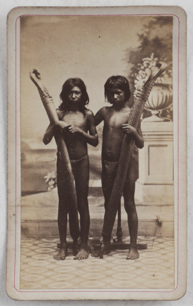 Item #591 [Collection of Twenty-Two Rare Early Albumen Cartes de Visite, Portraying Indigenous People of British Guiana]. SOUTH AMERICA - GUYANA, WELLCOME, ANDERSON, J. R. ANDERSON, fl. ca. 1860s – early 1870s, fl. ca. 1870s.